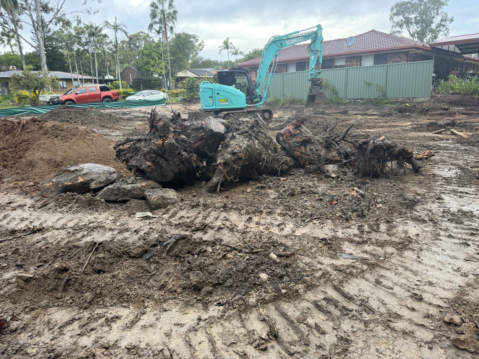 Excavation and stump removal